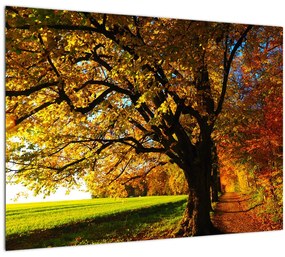Obraz jesenného stromu (70x50 cm), 40 ďalších rozmerov