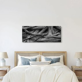 Obraz - Korene stromu (120x50 cm)