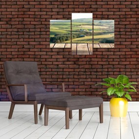 Obraz - Drevená polica s krajinou (90x60 cm)