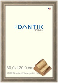 DANTIK rám na obraz 80x120 | KŘÍDLO velké stříbrné patina (Plexi Čiré)