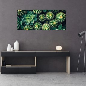Obraz - Kaktusy (120x50 cm)