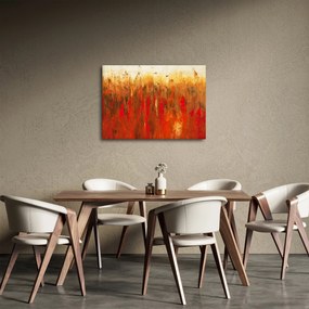 Obraz maľované abstrakcie (70x50 cm)