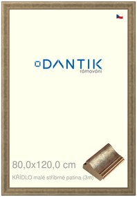 DANTIK rám na obraz 80x120 | KŘÍDLO malé stříbrné patina (Plexi Čiré)