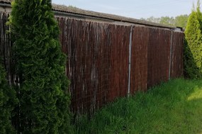Prútená zástena na plot Výška plota: 140 cm, Dĺžka plota: 300 cm