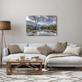 Obraz rieky za stromom (90x60 cm)