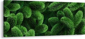 Obraz - Vetvičky ihličnanu (120x50 cm)