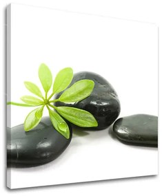 Obraz na stenu FENG SHUI | rôzne rozmery