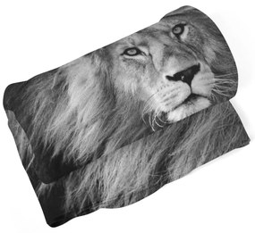 Sablio Deka Lev 2 - 150x120 cm