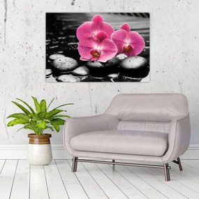 Obraz - Ružové orchidey (90x60 cm)