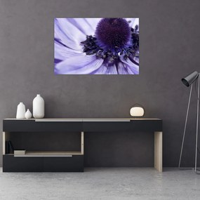Obraz - Fialový kvet (90x60 cm)