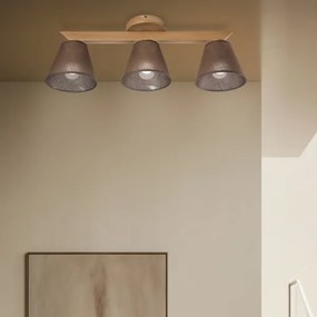 Brilagi - LED  Prisadený luster ANTHONY 3xE14/40W/230V dub/hnedá