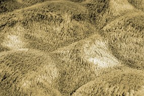 Obsession, Kusový koberec Diamond Cut 800 Honey kruh, 200x200 (priemer) kruh, hnedá, obývacia izba