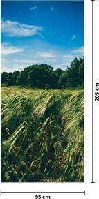 Fototapeta na dvere - Lúka a les (95x205cm)