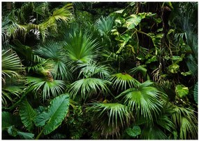Samolepiaca fototapeta - Slnečná džungľa 98x70