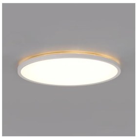 LED kúpeľňové svietidlo NIVERA LED/32W/230V IP54 pr. 42 cm biele + DO