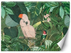 Gario Fototapeta Papagáje v trópoch - Andrea Haase Materiál: Vliesová, Rozmery: 200 x 140 cm