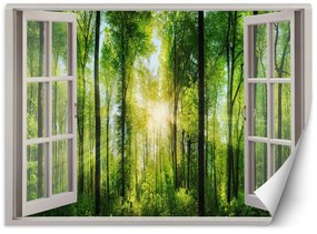 Gario Fototapeta Okno - slnečné lúče v lese Materiál: Vliesová, Rozmery: 140 x 100 cm