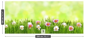 Fototapeta Vliesová Tráva kvety 152x104 cm