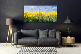 Obraz plexi Tulipány kvety rastlina 120x60 cm