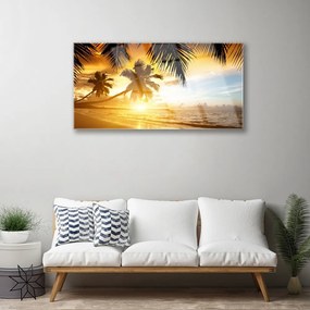Obraz plexi Pláž palma more krajina 100x50 cm