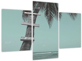 Obraz - Palma v Karibiku (90x60 cm)