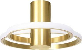 Toolight Toolight, LED stropné svietidlo 50x30,5cm, 22W, APP1402-CW, zlatá lesklá, OSW-05849