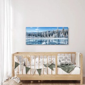 Obraz zamrznutého jazera a zasnežených stromov (120x50 cm)