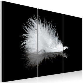 Artgeist Obraz - A small feather Veľkosť: 120x80, Verzia: Na talianskom plátne