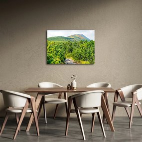 Obraz - Babi Hora, Poľsko (70x50 cm)
