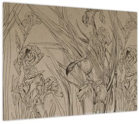 Obraz - Obrysy rastlín (70x50 cm)