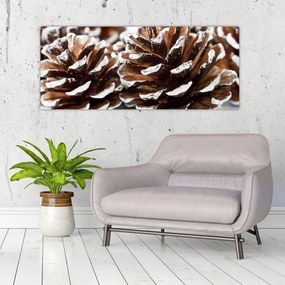 Obraz - Šišky (120x50 cm)