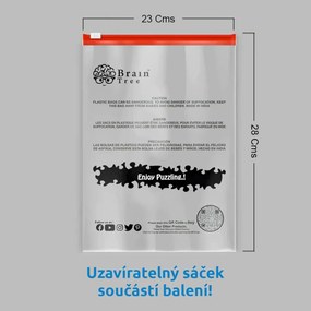 Brain Tree Puzzle Poklad pod hladinou 1000 dielikov