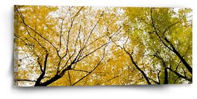 Sablio Obraz Korálový útes - 110x50 cm
