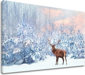 Obraz na stenu ZVIERATÁ_053-11