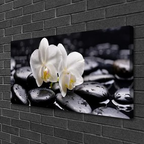 Obraz Canvas Kamene zen biela orchidea 125x50 cm