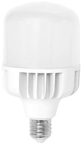 LED Žiarovka E40/50W/230V - Ecolite