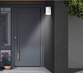 Telefunken 315506TF-LED Vonkajšie nástenné svietidlo so senzorom LED/12W/230V IP44