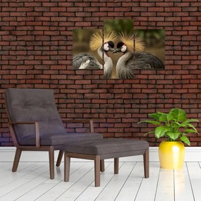 Obraz na stenu - zvieratá