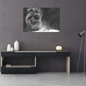 Obraz - Veverička v zime (90x60 cm)