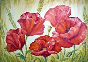 Sklenený obraz - Kvety vlčích makov (70x50 cm)