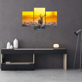 Obraz - Jeleň pri východe slnka (90x60 cm)