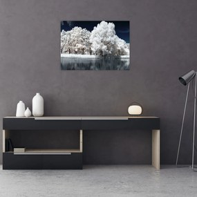 Sklenený obraz - Snehobiele stromy (70x50 cm)