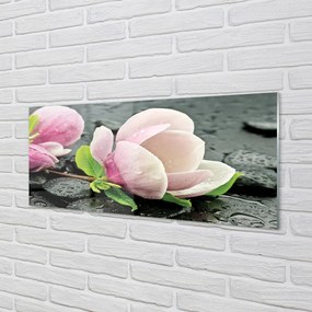 Obraz plexi Magnolia kamene 120x60 cm