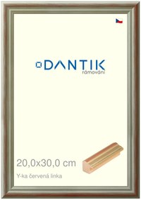 DANTIK rám na obraz 20x30 | Y-ka červená linka (Sklo Čiré)