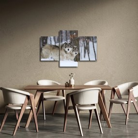 Obraz - Vlci v zime (90x60 cm)