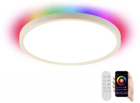 Immax Neo 07169-W60 - LED RGB Stmievateľné svietidlo TUDO 65W/230V Wi-Fi Tuya + DO IM1331