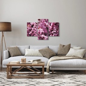 Obraz - Ružová sakura (90x60 cm)
