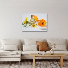 Obraz oranžových kvetín (70x50 cm)