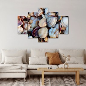 Obraz mušlí (150x105 cm)
