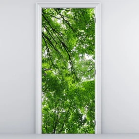 Fototapeta na dvere - Pohľad do korún stromov (95x205cm)